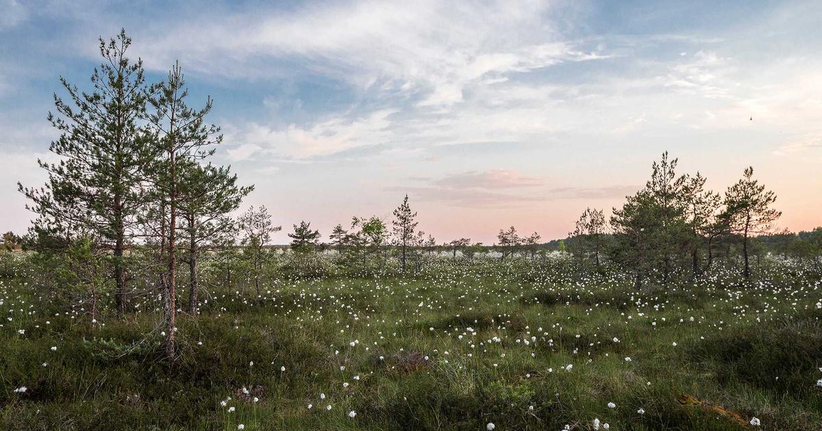 2026 okuyucuların sevdiği 10 faydalı ipucu